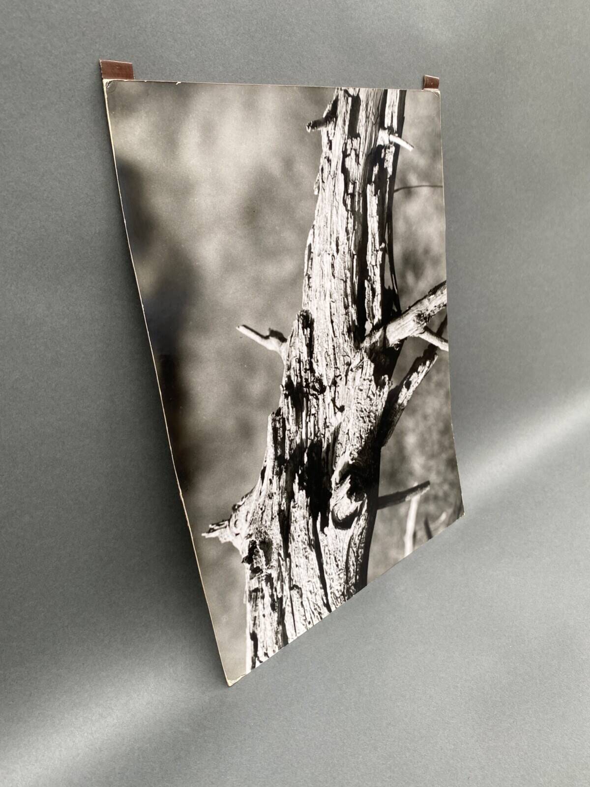 Silver gelatin photograph by Bernard Darot, 20th century study, Nantes Photo Club AFIAP