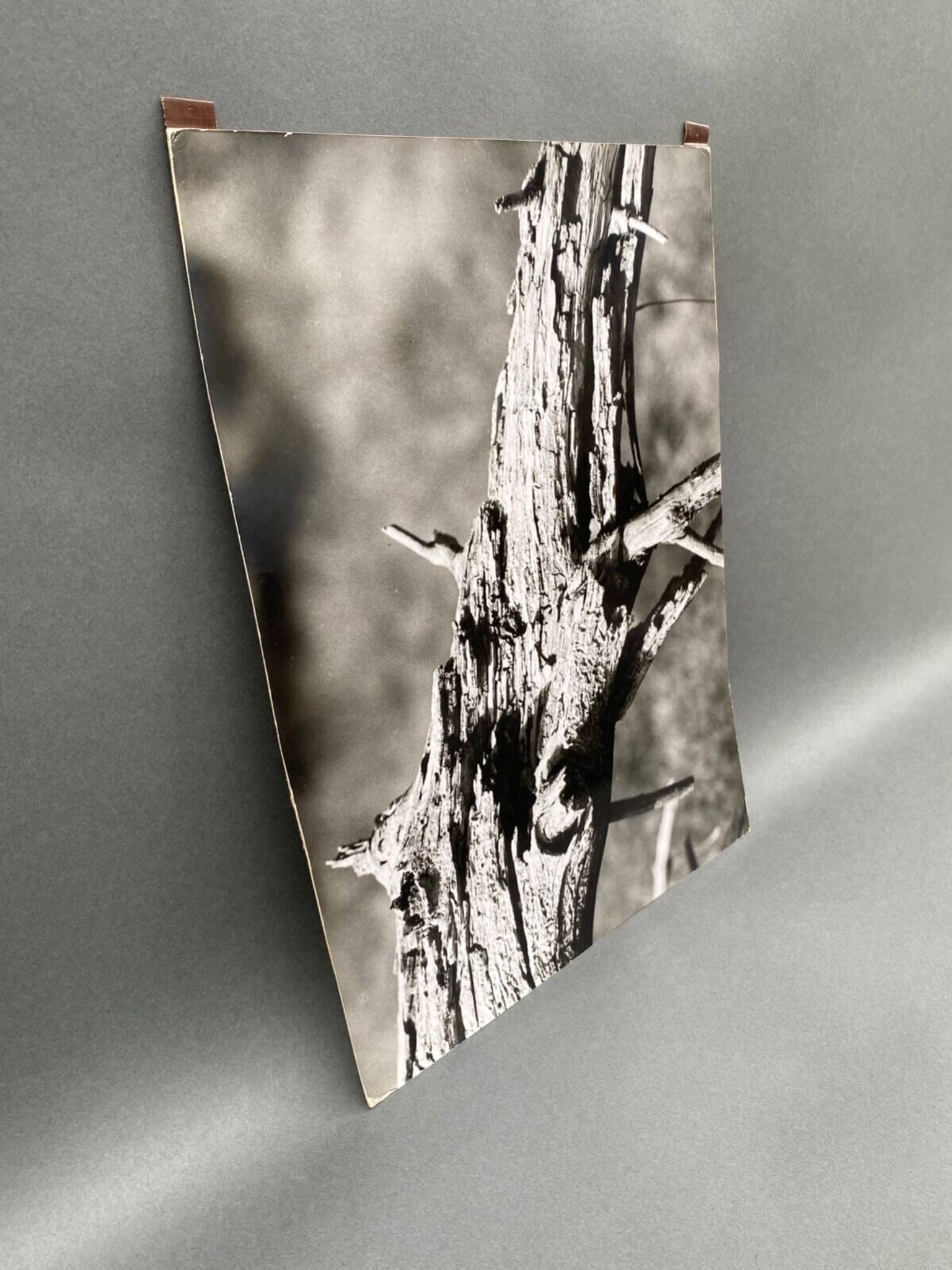 Silver gelatin photograph by Bernard Darot, 20th century study, Nantes Photo Club AFIAP