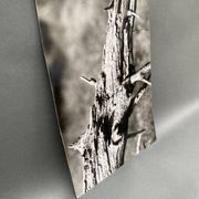 Silver gelatin photograph by Bernard Darot, 20th century study, Nantes Photo Club AFIAP