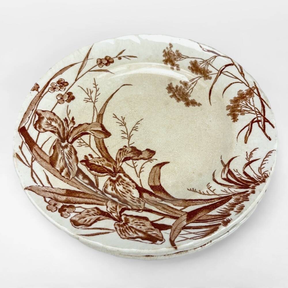8 assiettes à dessert Terre de fer sépia modèle Flore Jules Vieillard Bordeaux XIX