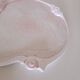 Coupe en porcelaine rose, époque Art Nouveau