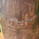 Large antique Anduze vase Boisset Rodier 19th century