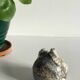 Vintage Marble Chicken with Eggs Sculpture