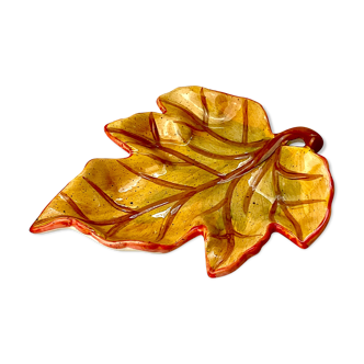 Empty pocket vine leaf