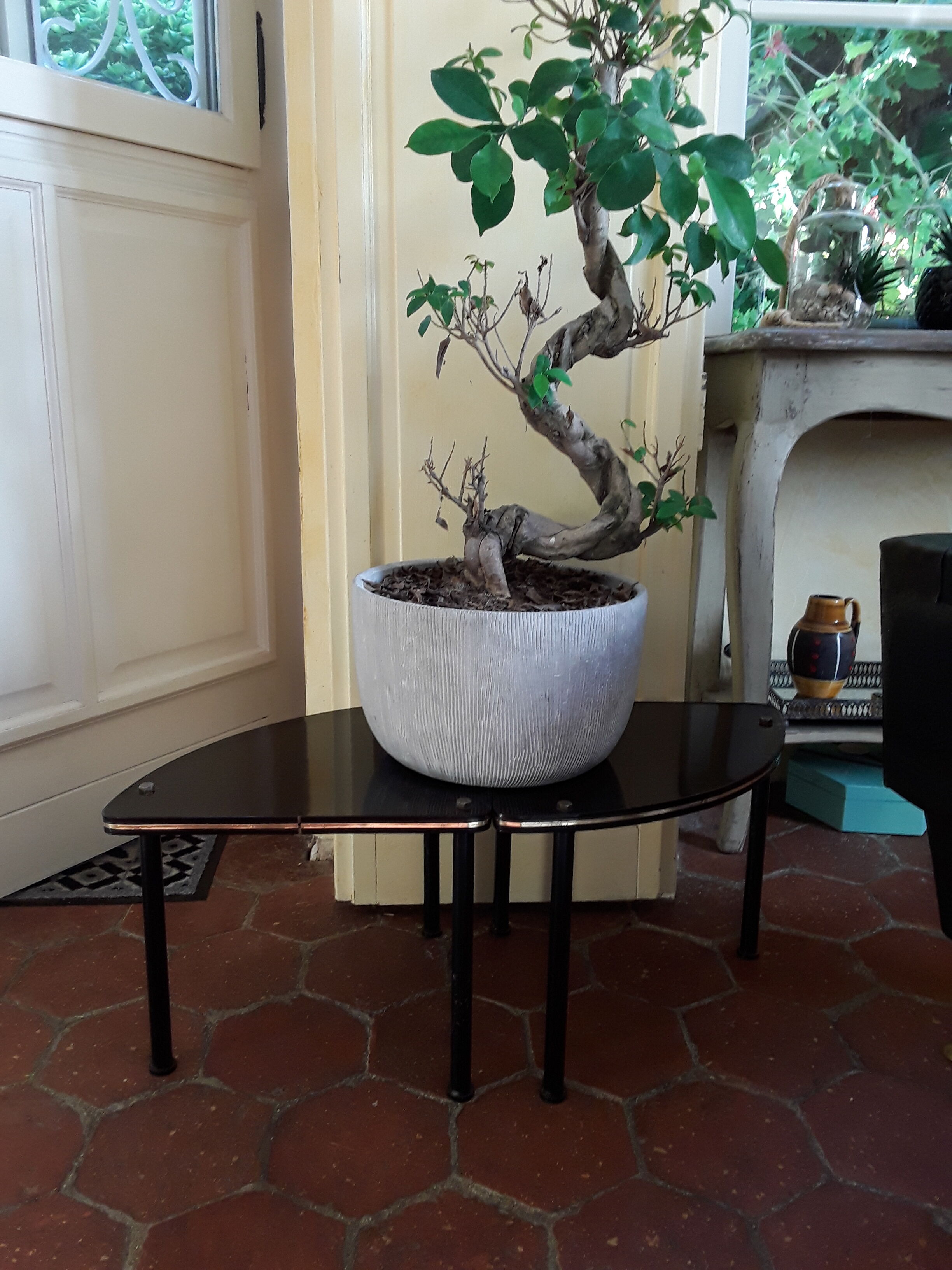 Vintage formica desserts 60