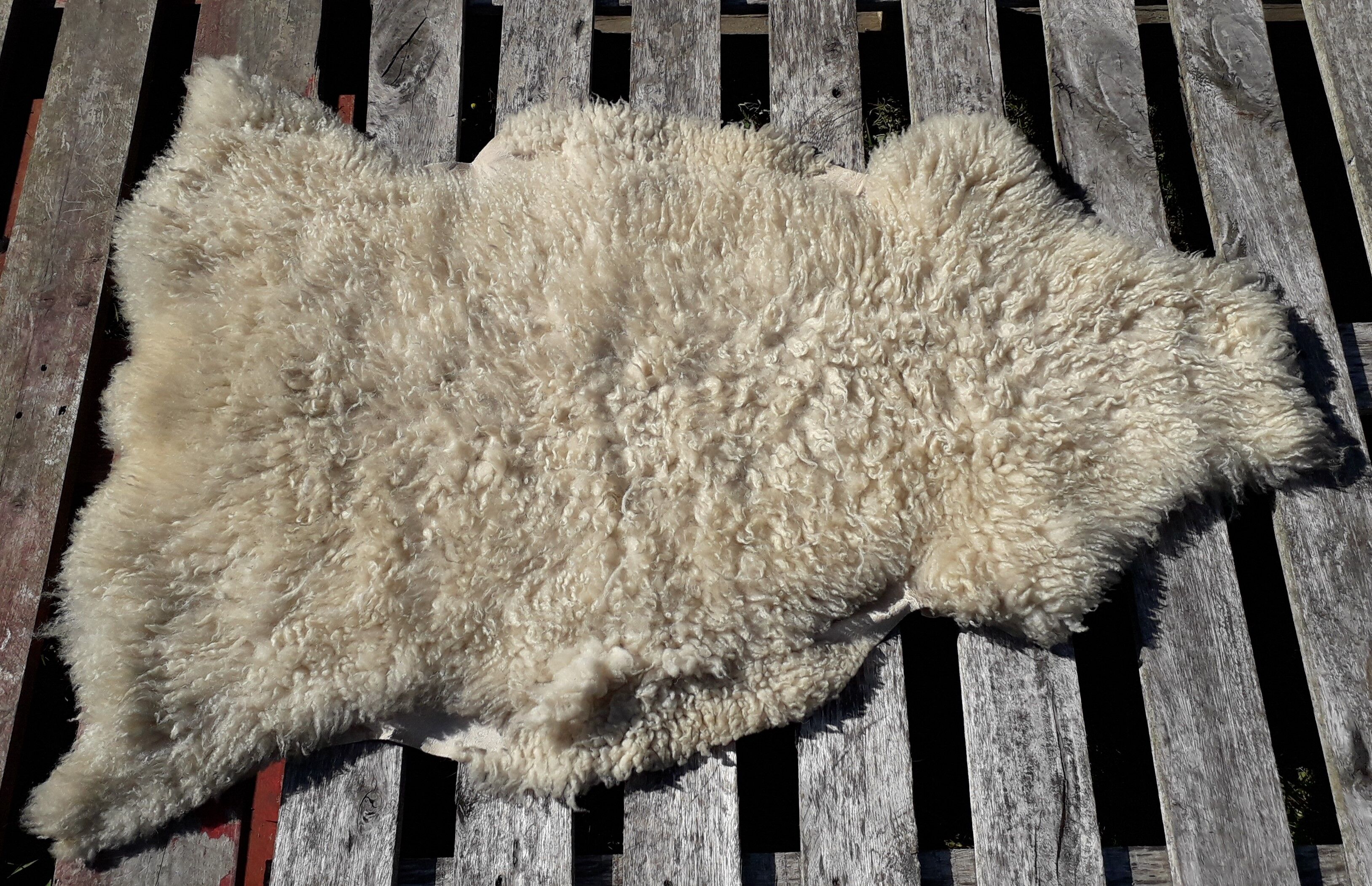 Sheepskin 64x123cm