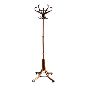 Dark curved beech coat rack with 6 hooks