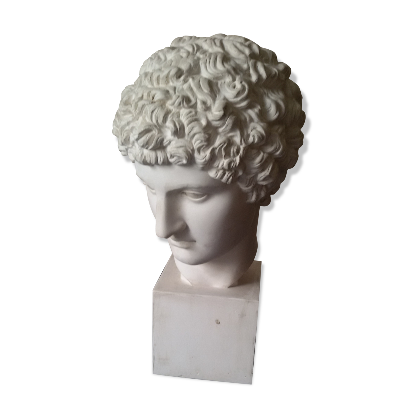 Bust plaster early Apollo twentieth