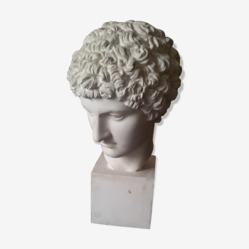 Bust plaster early Apollo twentieth