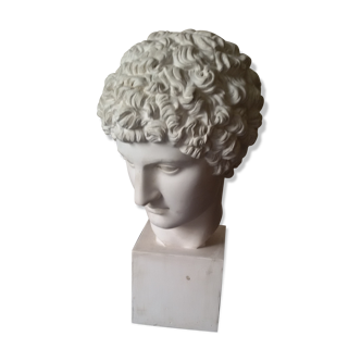 Bust plaster early Apollo twentieth