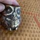 2 brass owls
