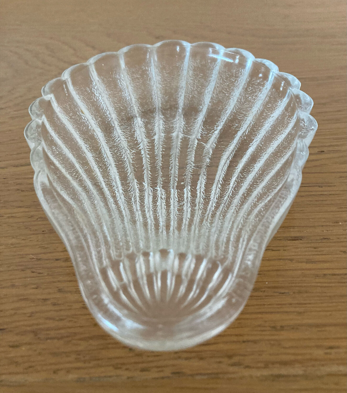 Shell glass cups