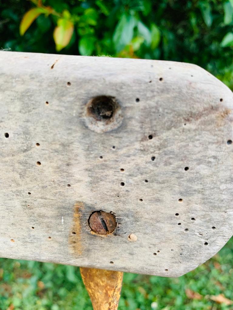 Set of 4 folding garden chairs