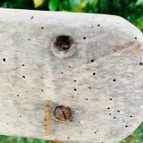 Ensemble de 4 chaises de jardin pliantes