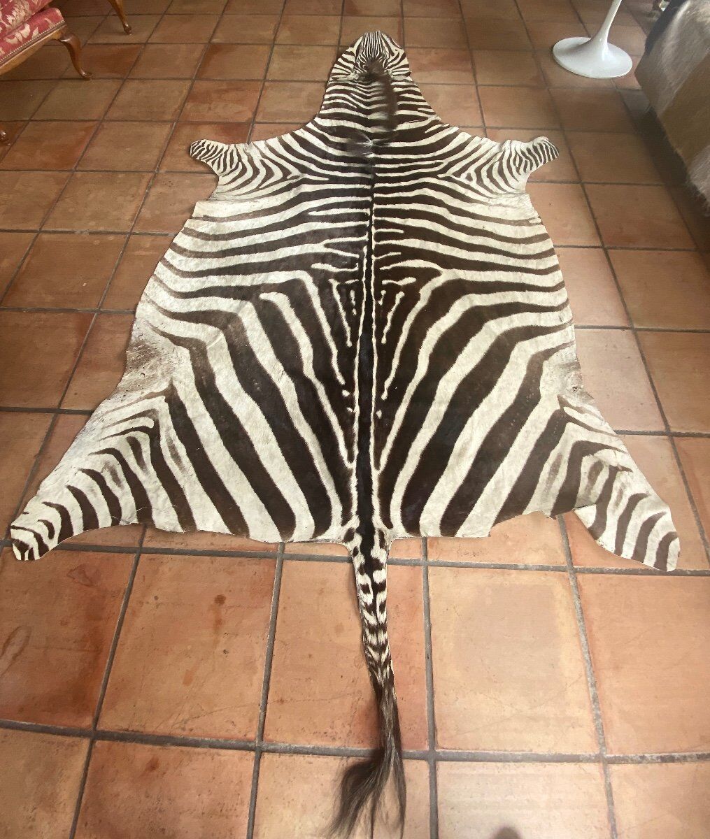 Real zebra skin