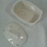 Box earthenware of Salins