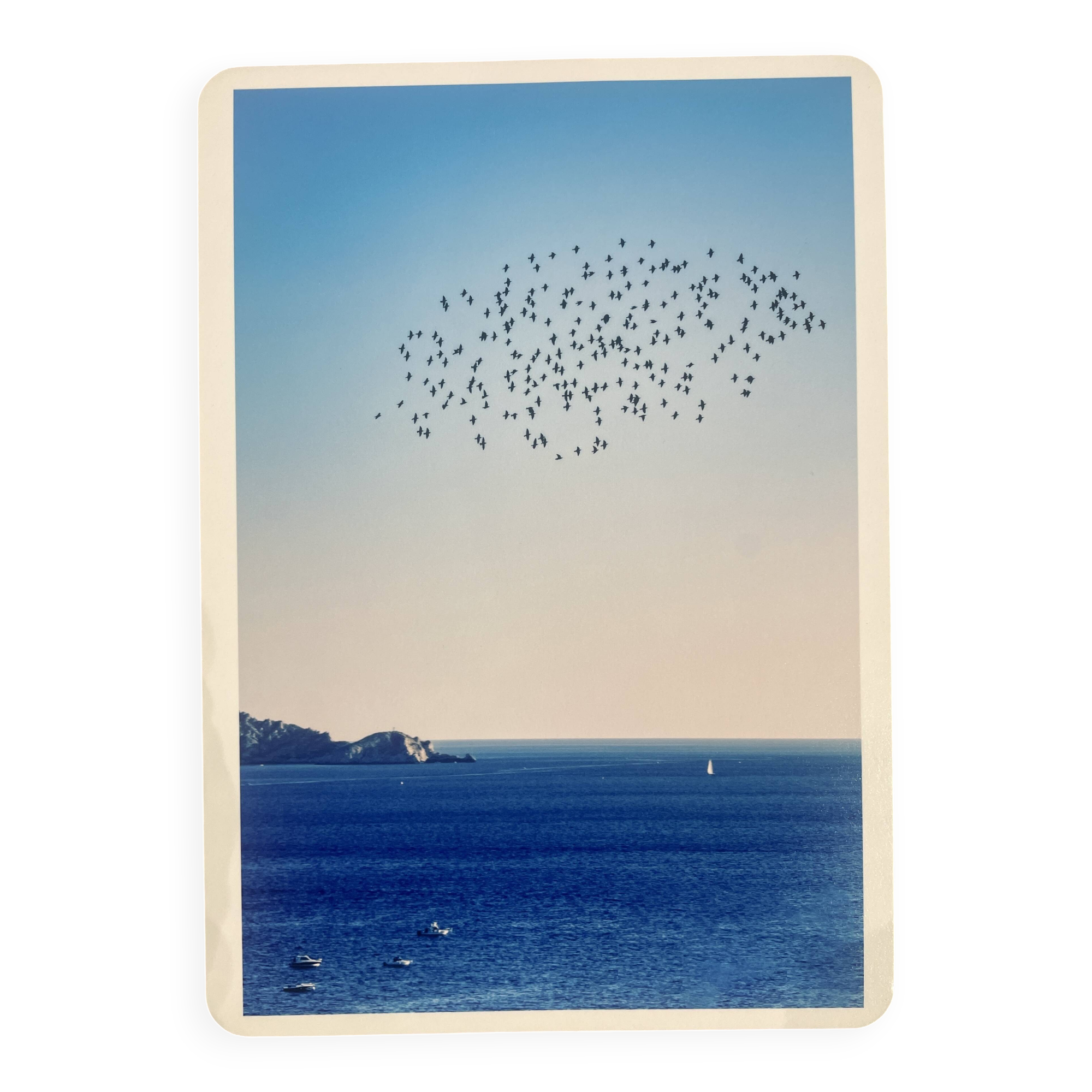 Photo Alice Ducheix - Gallery Zones