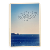 Photo Alice Ducheix - Gallery Zones