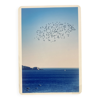Photo Alice Ducheix - Gallery Zones