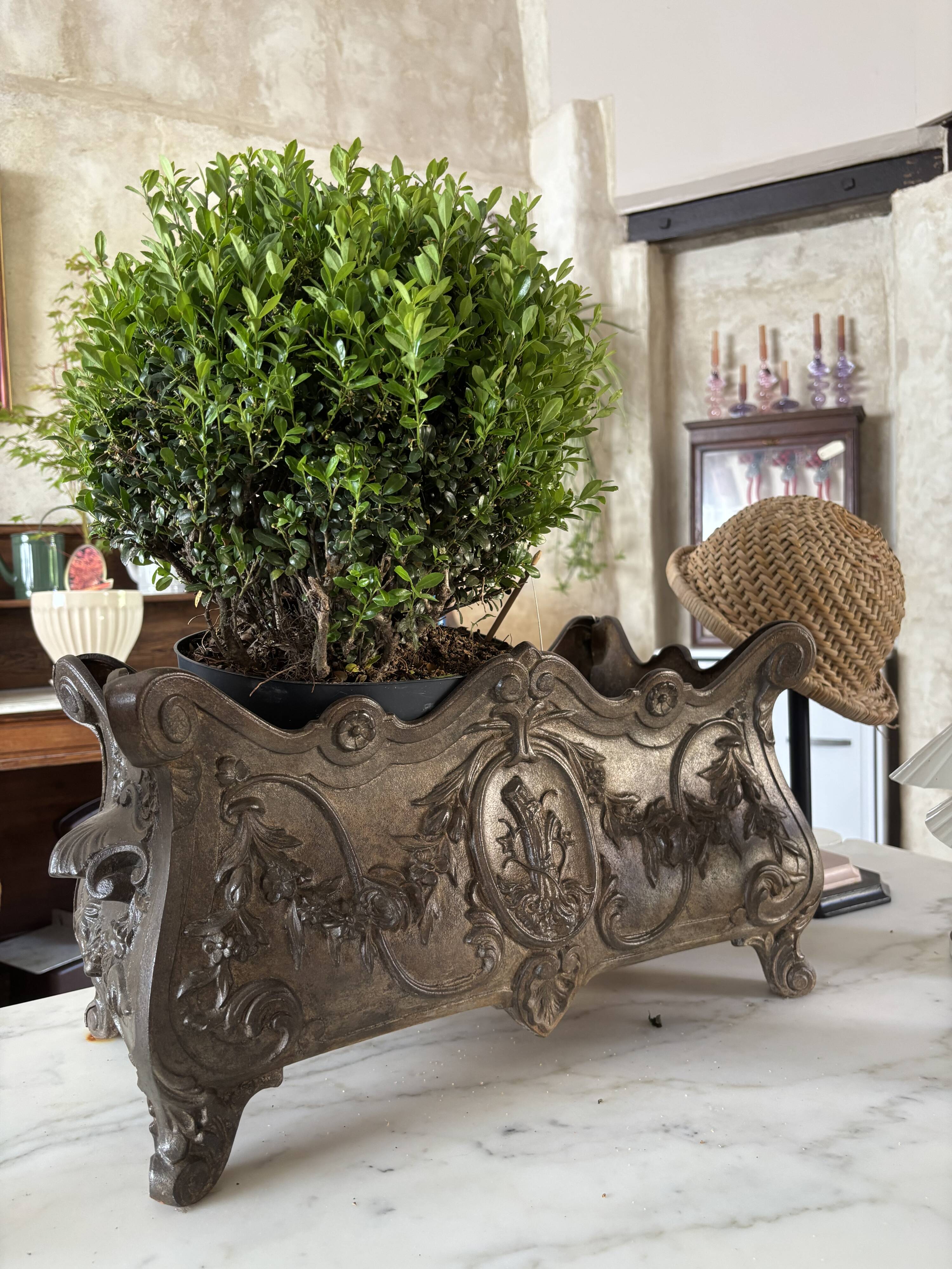 Large cast iron planter