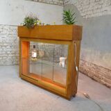 illuminated planter display case from the 1950s