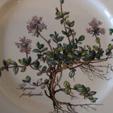6 plates Villeroy and Boch Botanica
