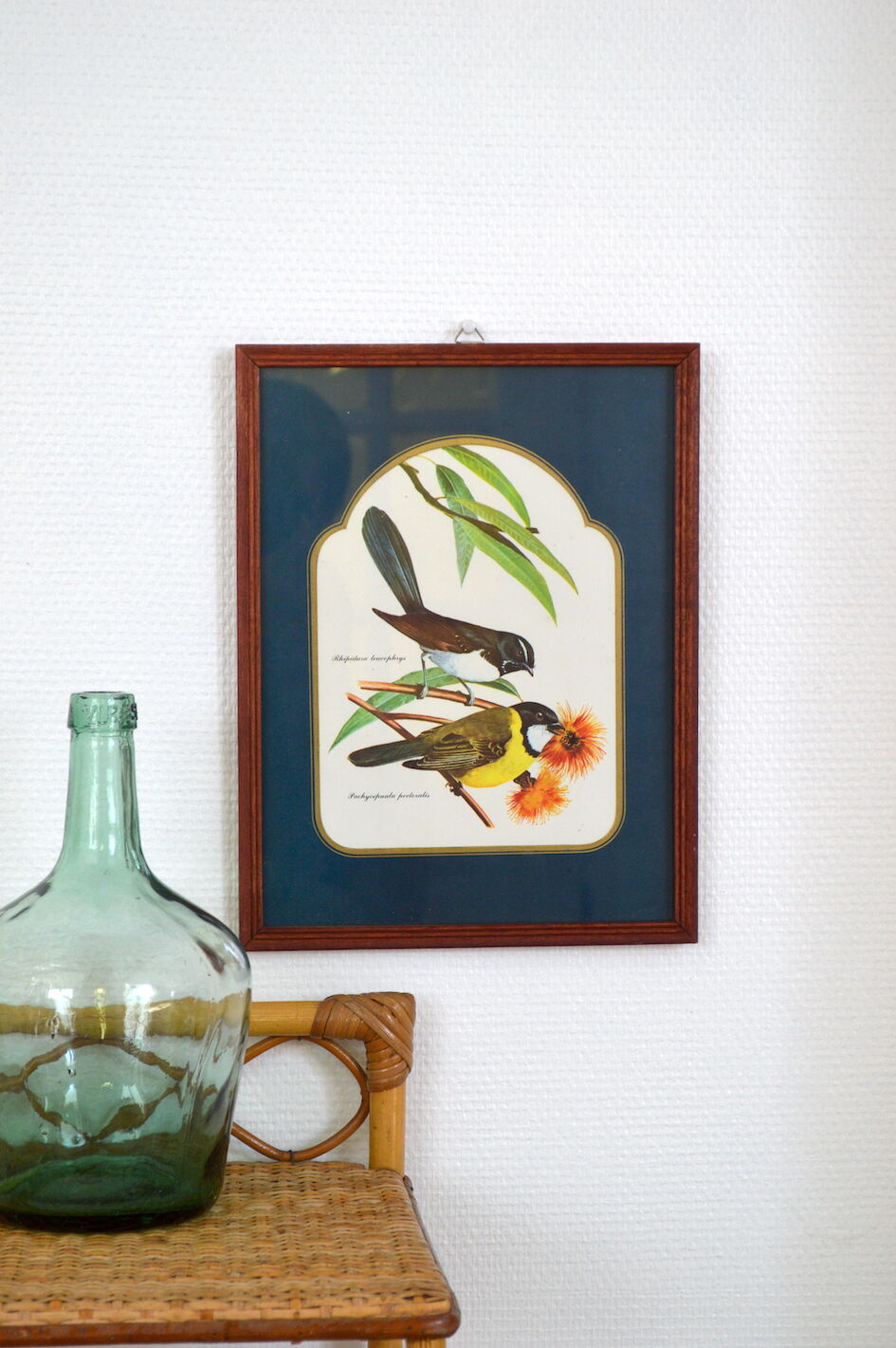 Exotic bird duo setting