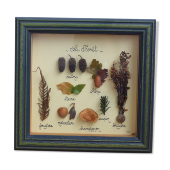 Forest-themed dried flower frame