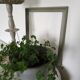 Wooden frame 56x46