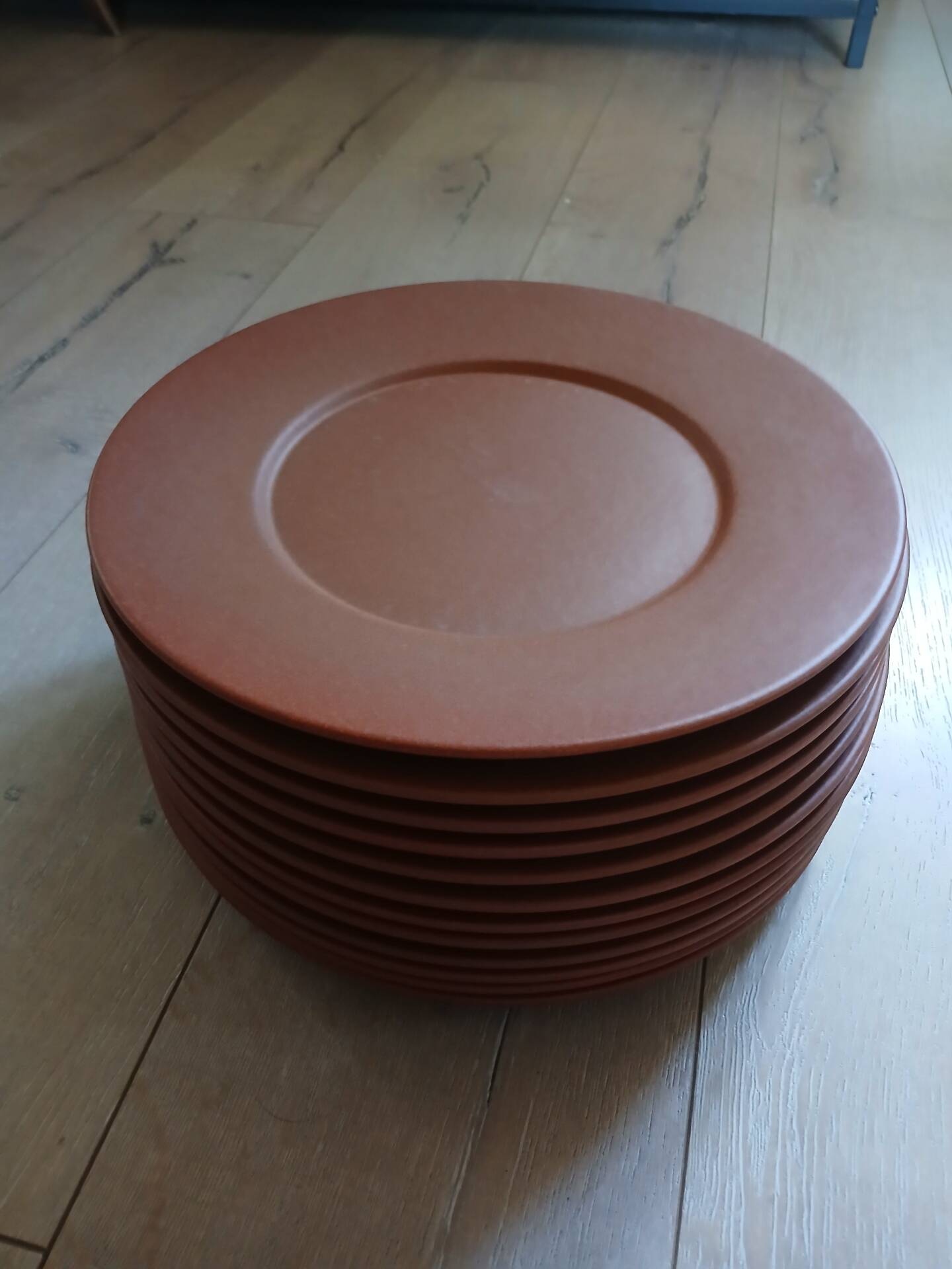 12 large flat plates Molin / Charolles