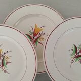 Old Earthenware Dinner Plates KG Lunéville Vintage Tulip Decor