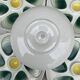Salins oyster plates France 1960s