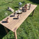 Table de ferme