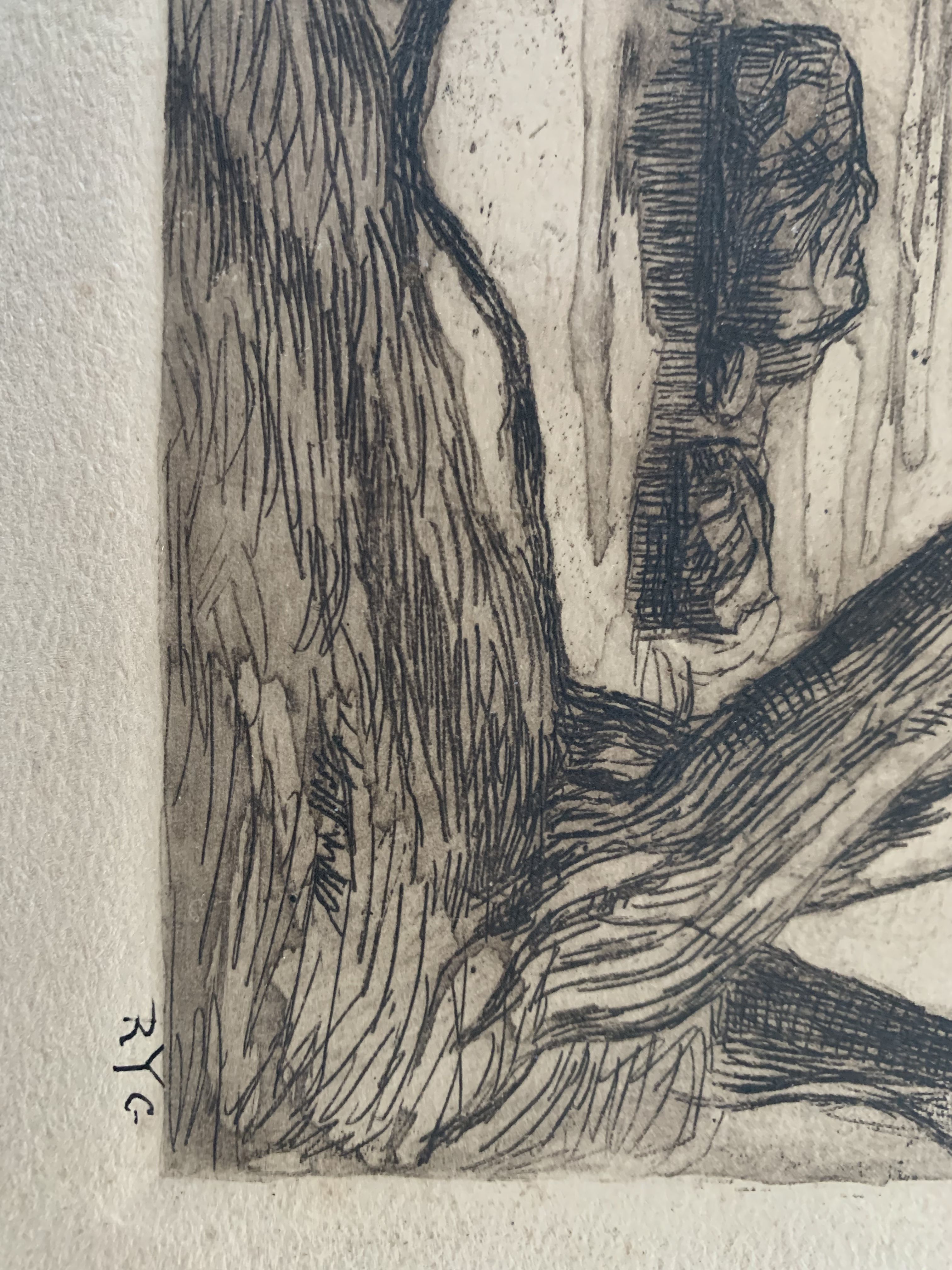 Charcoal drawing and ink the pines Carqueiranne sign Ryg