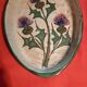 Vallauris- gratin dish - etienne daniel vallauris- thistle decor
