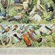 Old engraving 1898, Birds 1: species, raptors • Original and vintage lithograph