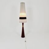 Mid century Danish teak floor lamp  from the 60s