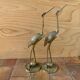 Pair of brass birds