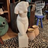 Patinated plaster aphrodite bust