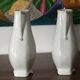Pair of white porcelain flower vases
