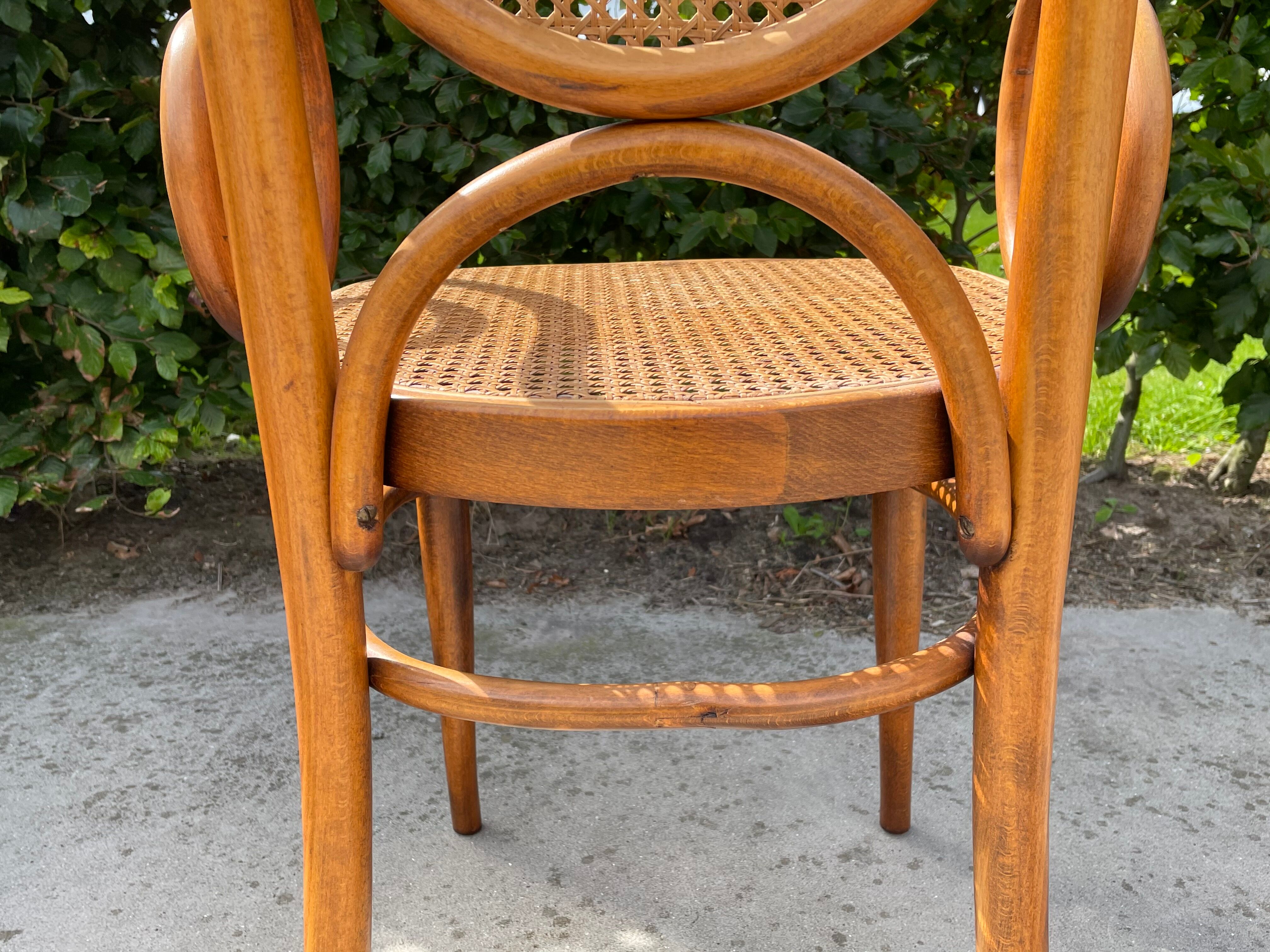 Sculptural bendwood side chair model