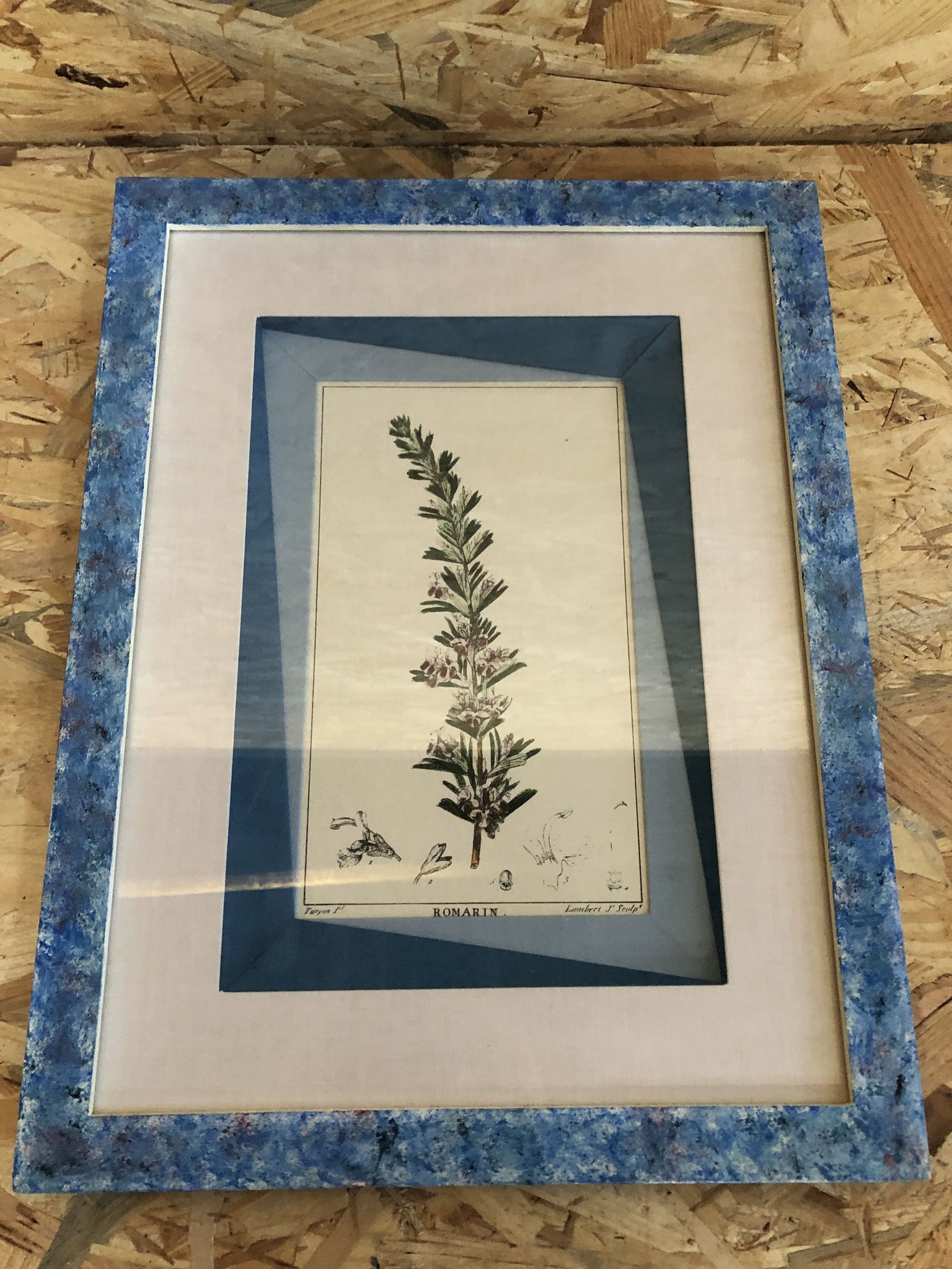 Old botanical board romarin