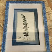 Old botanical board romarin