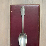 12 spoons in original box