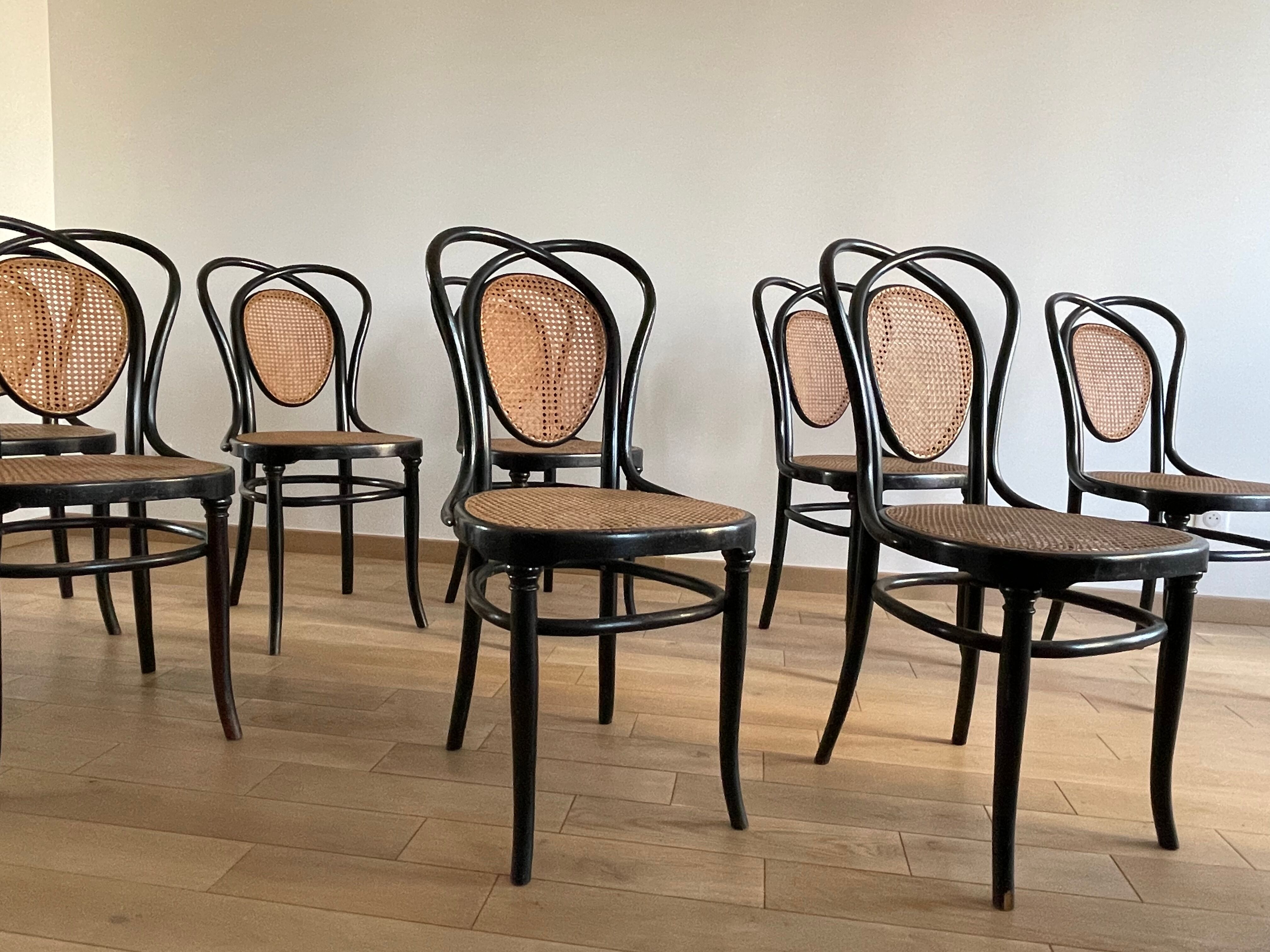 Series of 8 Viennese chairs N.33 by J&J Kohn, 1900