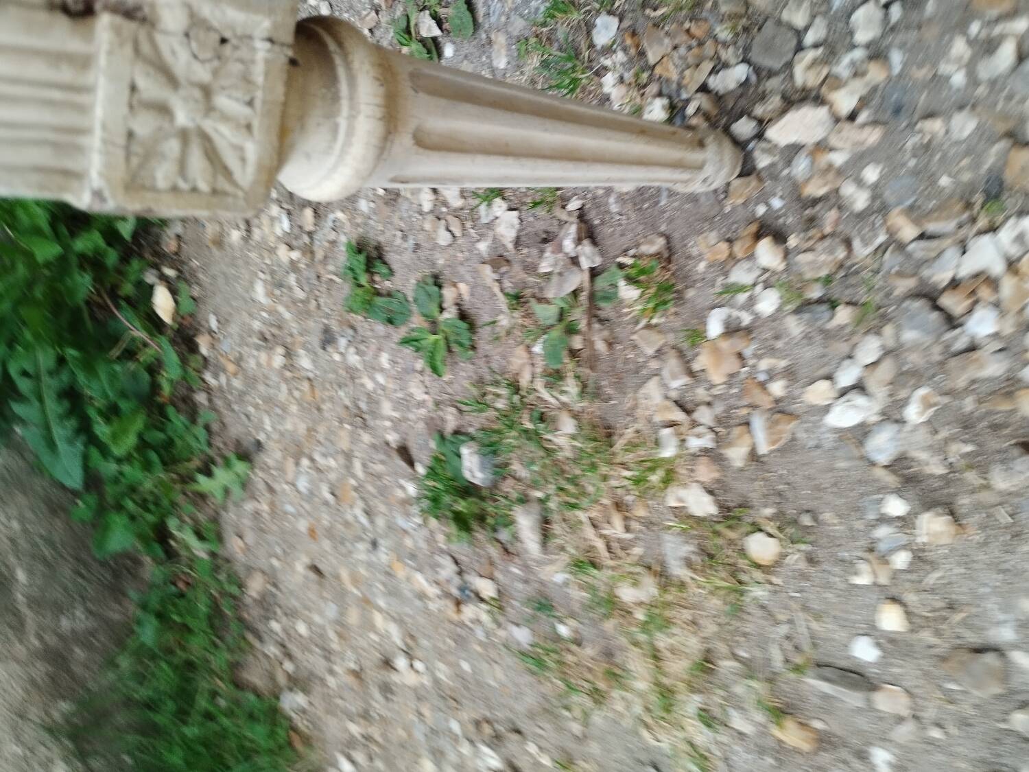 Antique armchair in Louis XVI style, 19th century.