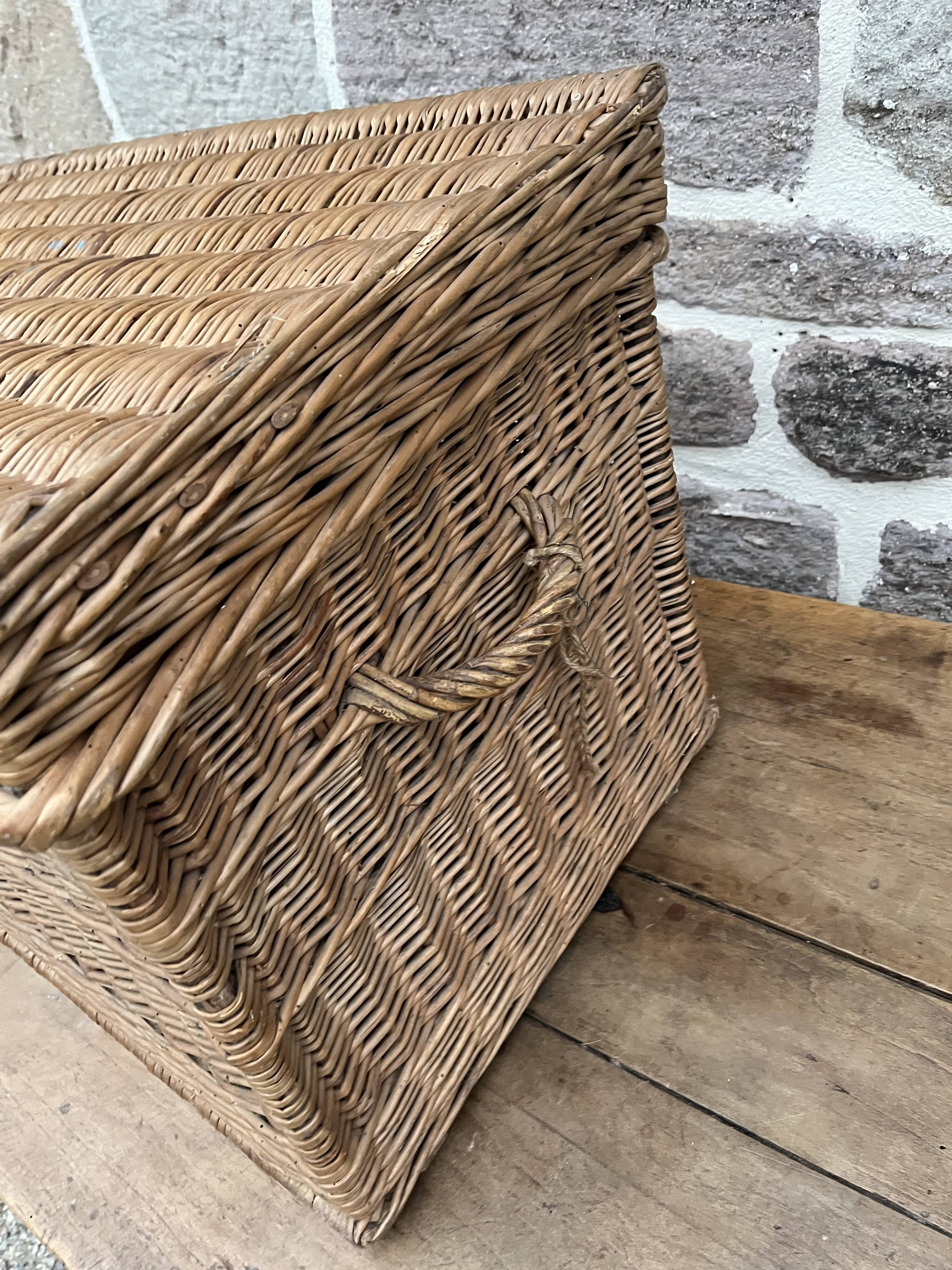Wicker trunk