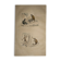 Original zoological plate of 1839