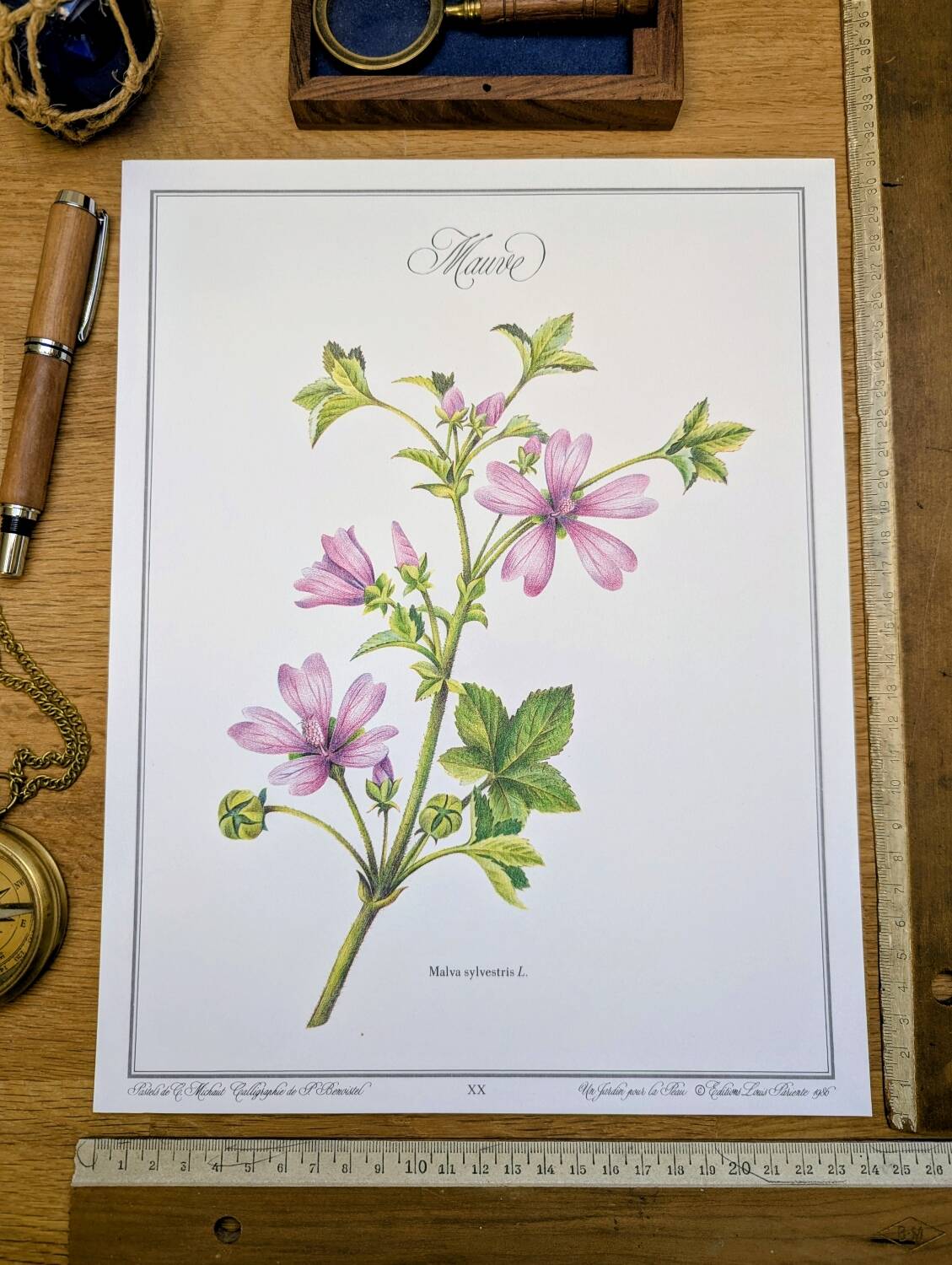 Printed in 1986, the Mauve. Vintage Botany.