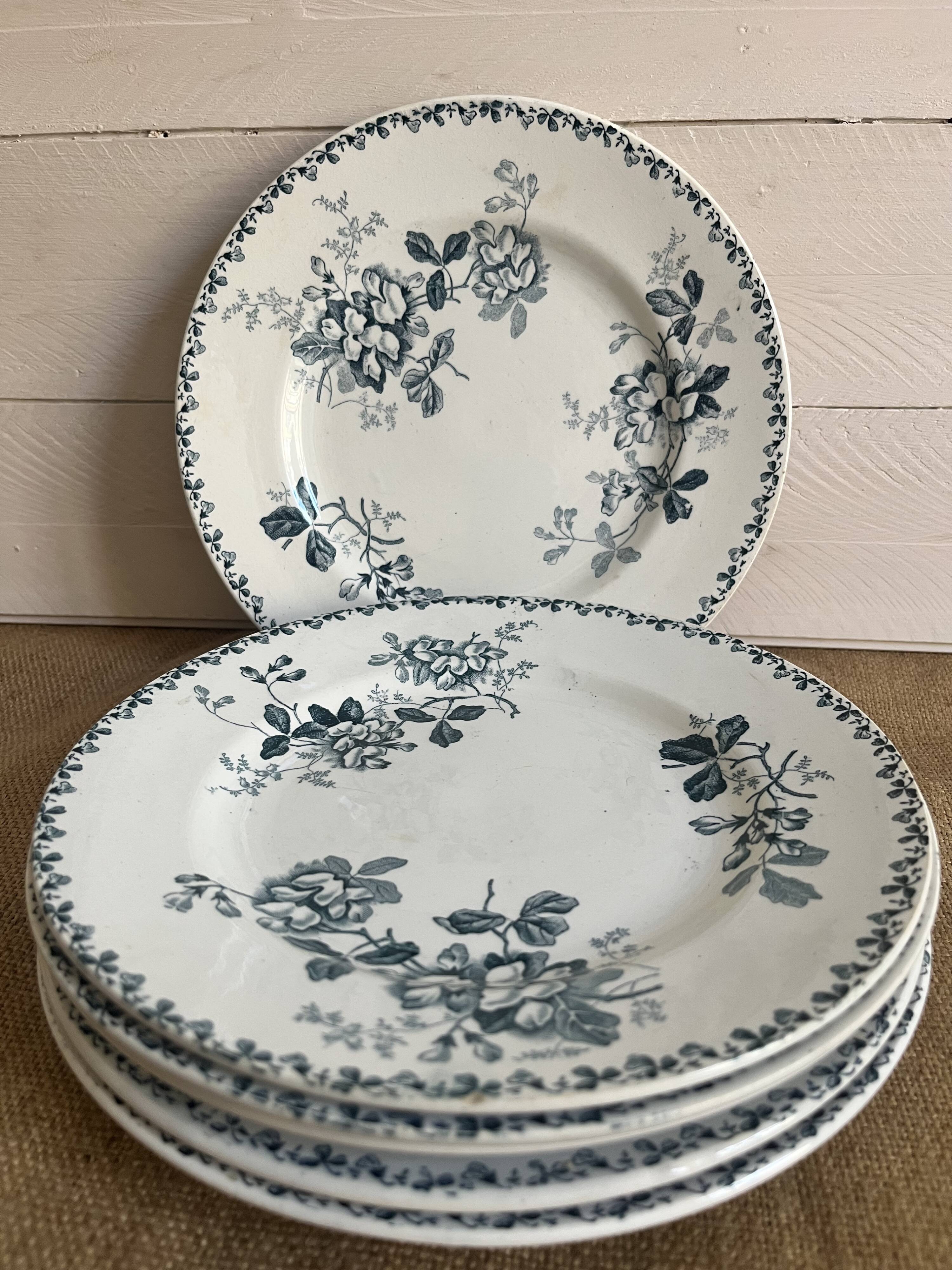 6 flat plates - Terre de fer, Acacia service